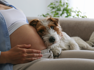 Gravid uge 13