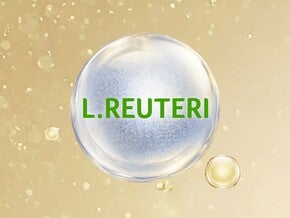 Mælkesyrebakterier
