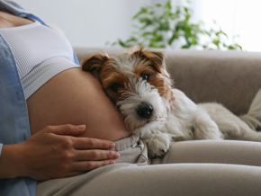 Gravid uge 13