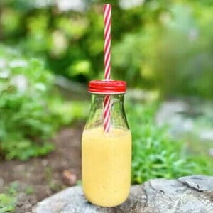 Solgul smoothie Solgul smoothie