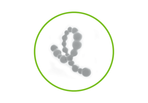 ALDERSOPTIMERET PROTEINTEKNOLOGI ALDERSOPTIMERET PROTEINTEKNOLOGI
