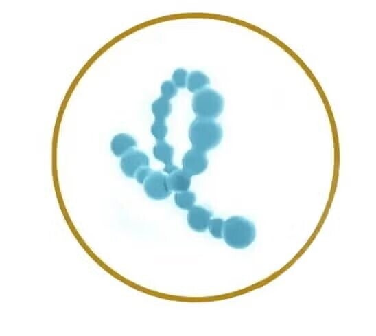 AVANCERET PROTEINTEKNOLOGI