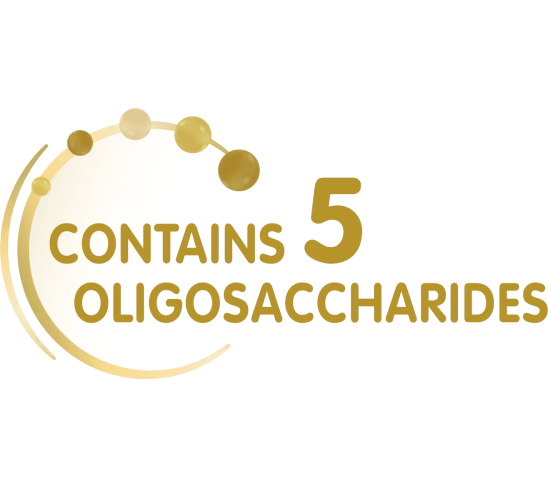 5 OLIGOSACCHARIDER